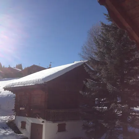 Chalet De Charme Aux Carroz D'arraches-flaines