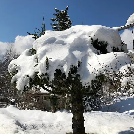 De Charme Aux Carroz D'arraches-flaines Chalet *